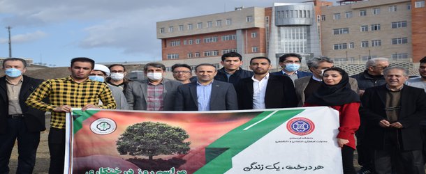 گزارش تصویری مراسم روز درختکاری در دانشگاه کردستان