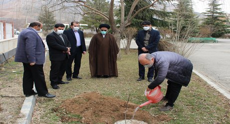 غرس درخت توسط سرپرست دانشگاه به مناسبت هفته درختکاری