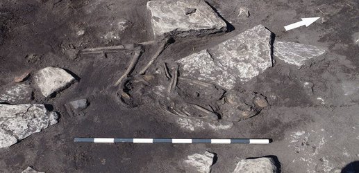 Ancient Swedish massacre hints at chaos after the fall of Rome