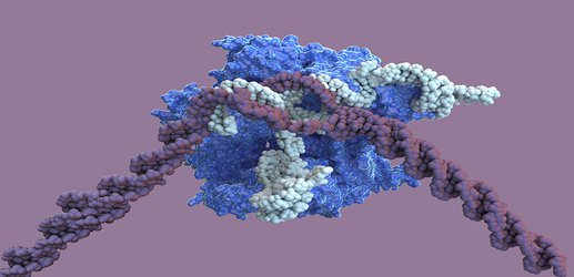 Major CRISPR patent decision won’t end tangled dispute