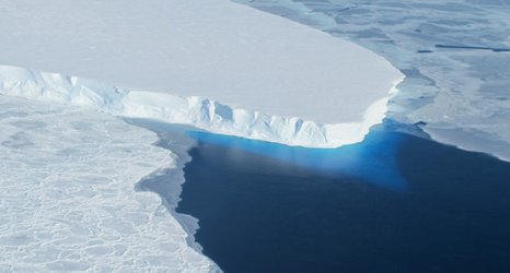 Antarctic glaciers losing ice at fastest rate for 5,500 years, finds study