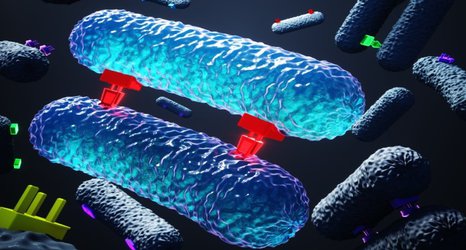 Bacterial intimacy insights could help tackle antimicrobial resistance