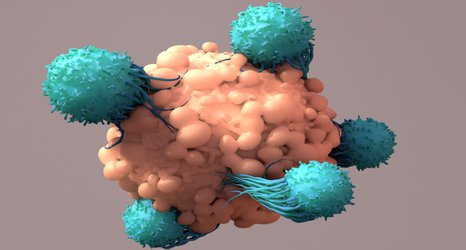 New device could accelerate the development of T-cell immunotherapies for cancer