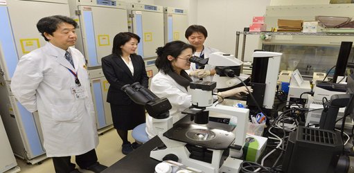 ‘I feel disposable’: Thousands of scientists’ jobs at risk in Japan