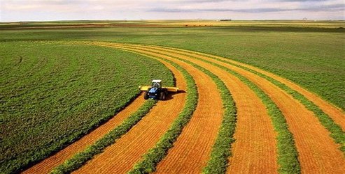 گام های بلند موسسه تحقیقات کشاورزی دیم کشور در راستای انتقال یافته‌های پژوهشی به عرصه‌ها  و افزایش بهره‌وری در مزارع دیم
