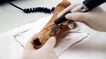 Carbon dating hampered by rising fossil-fuel emissions