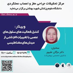 وبینار مرکز تحقیقات جراحی مغز و اعصاب عملکردی دانشگاه برگزار می‌شود