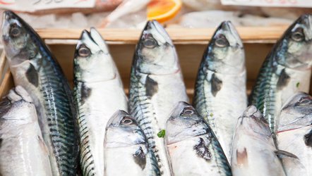 Eat more fish: when switching to seafood helps — and when it doesn’t