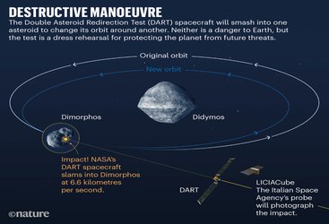 Asteroid crash, COVID sleuths — the week in infographics