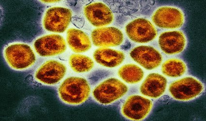 The monkeypox virus is mutating. Are scientists worried?