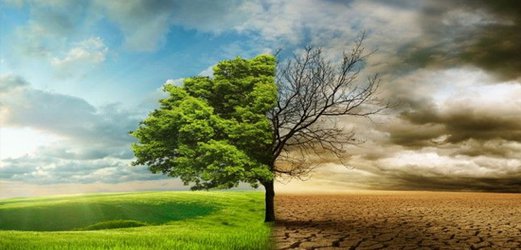 نشست روز جهانی مبارزه با تغییر اقلیم برگزار می شود