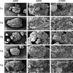 ثبت اختراع ملی دستاورد پژوهشی دانشگاه فردوسی مشهد