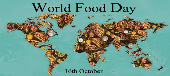 پیام رئیس موسسه پژوهشی علوم و صنایع غذایی به مناسبت روز جهانی غذا