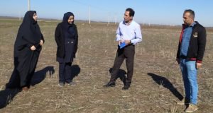 برگزاری کارگاه آموزشی و جلسه فنی محققان معین مرکز تحقیقات و آموزش گلستان با مروجان مسئول پهنه فاضل آباد – مزرعه کتول