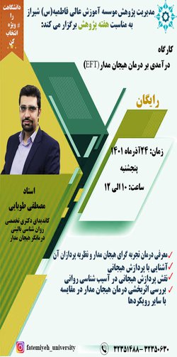 درآمدی بر رمان هیجام مدار(EFT)