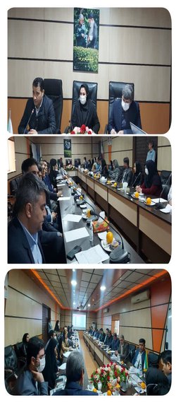 برگزاری سومین جلسه ستاد توزیع  دارویی استان در سالن کنفرانس معاونت غذا و دارو