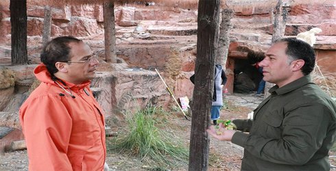 گفتگو با دکتر خوش نگاه عضو هیات علمی دانشکده دامپزشکی در خصوص روند تشخیصی و درمانی ارس پلنگ باغ وحش مشهد