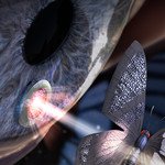 Butterfly Wings Inspire Light-Manipulating Surface for Medical Implants
