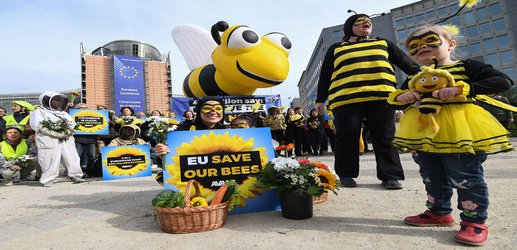 To save the insect world we must go way beyond neonicotinoid ban