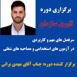 تئوری سازمان