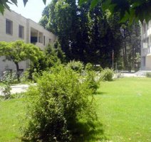 برنامه روز درختکاری در دانشکده دانشگاه تهران | وزیر علوم، رئیس دانشگاه تهران و نمایندگان مردم به دانشکده منابع طبیعی می‌روند