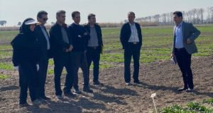 بازدید گروهی از محققان و مدیران سازمان جهادکشاورزی گلستان از برنامه های ایستگاه تحقیقات کشاورزی گنبد کاووس