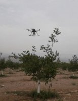 طراحی و ساخت ربات پرنده گرده‌افشان درخت گردو توسط محققان دانشگاه تهران