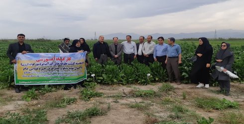 برگزاری کارگاه آموزشی کشت علوفه های بهاره و تابستانه در شهرستان گنبد کاووس به همت محققان مرکز تحقیقات و آموزش گلستان