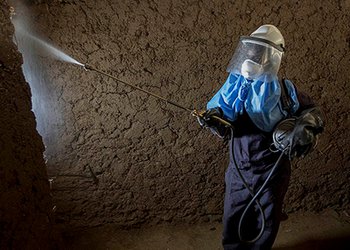 مالاریا؛ از ۳۰درصد مبتلا تا قرار گرفتن در آستانه حذف/استان بوشهر مستعد برای انتقال مالاریا