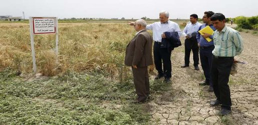 بازدید مدیر کل غله و خدمات بازرگانی استان گلستان از ایستگاه تحقیقات کشاورزی گرگان