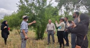 ارایه دانش حوزه آفات و بیماری های مهم انار به همت پژوهشگران بخش تحقیقات گیاهپزشکی مرکز تحقیقات و آموزش گلستان