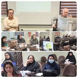 کارگاه آموزشی تربیت مربی ویژه پزشک در مرکز بهداشت استان برگزار شد