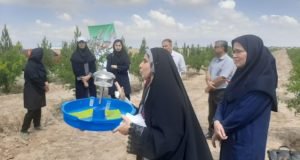 برگزاری کارگاه آموزشی ترویجی افزایش بهره وری و تولید محصول سالم انار در شهرستان گنبد به همت محققان مرکز تحقیقات و آموزش گلستان