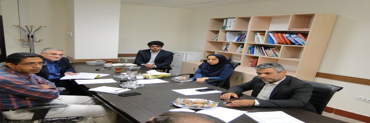 جلسه شورای گروه آموزشی نانوفناوری پزشکی دانشکده فناوری های نوین علوم پزشکی برگزار شد