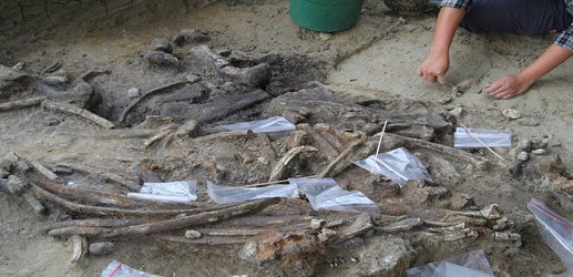 Ancient humans in Philippines may have given rise to ‘hobbits’