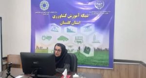 برگزاری وبینار آموزشی مدیریت تغذیه بهینه در زیتون