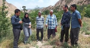 برگزاری کارگاه آموزشی ترویجی گیاهان دارویی در شهرستان گلیداغ به همت محققان مرکز تحقیقات و آموزش گلستان