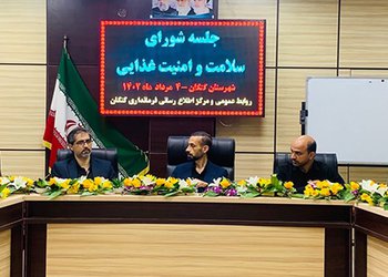 در شورای سلامت شهرستان کنگان مطرح شد؛
لزوم هماهنگی و آمادگی لازم دستگاه‌های اجرایی کنگان برای مقابله با پشه آئدس و بیماری وبا