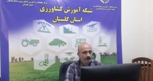 برگزاری وبینار آموزشی مدیریت سیلاژ ذرت