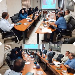 کمیته اجرای برنامه غربالگری و تشخیص زودهنگام سرطان دهانه رحم در مرکز بهداشت استان برگزار شد