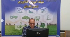 برگزاری وبینار آموزشی دانه برنجی گیاه مناسب اصلاح مراتع خشک و نیمه خشک