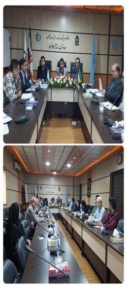 بررسی راه های پیشگیری و مبارزه با قاچاق کالاهای سلامت محور برگزار شد