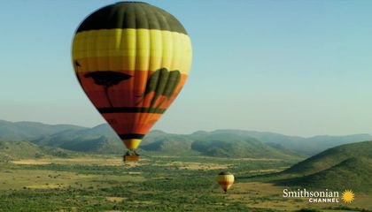 Why Birds Flock to This South African Nature Reserve