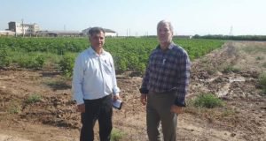 بازدید ریاست مرکز تحقیقات و آموزش کشاورزی و منابع طبیعی استان گلستان از ایستگاه تحقیقات کشاورزی گنبدکاووس