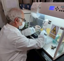 دستیابی محققان دانشگاه تهران به روش درمانی جدید برای درمان بیماری تصلب شرائین | سامانه دارویی هوشمند برای مهار التهاب بیماری‌های مزمن و حاد طراحی و ساخته شد