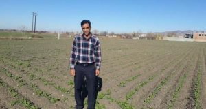 برگزاری وبینار آموزشی اصول کاشت چغندر قند پاییزه