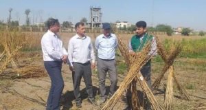 بازدید رییس سازمان جهاد کشاورزی استان از ایستگاه تحقیقات کشاورزی گنبدکاووس