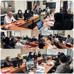 کمیته بین بخشی مقابله با سقط عمدی جنین در مرکز بهداشت استان برگزار شد