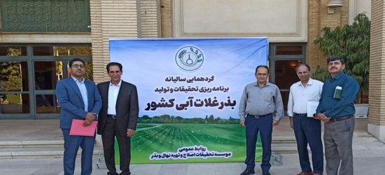 محمد علی دهقان: تولید و خودکفائی غلات، گام کلیدی امنیت غذایی