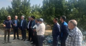 نشست هم اندیشی همکاری های دوجانبه مرکز تحقیقات و آموزش گلستان و شرکت صباح